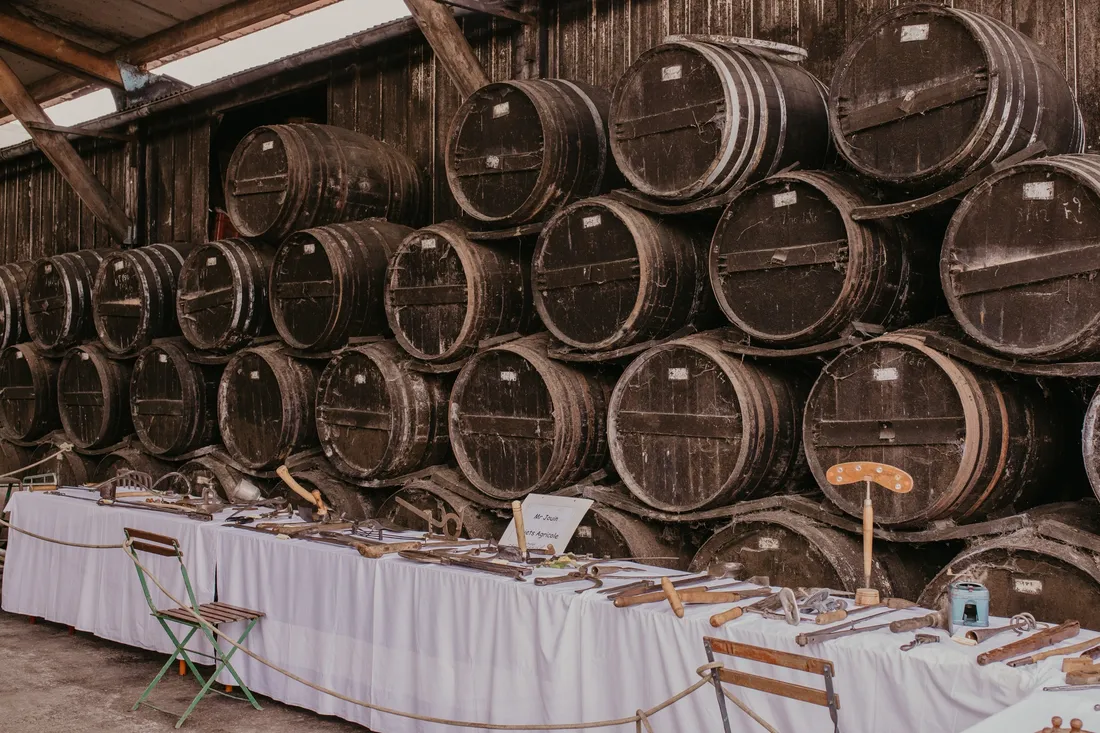 La ferme du Pressoir à Craon